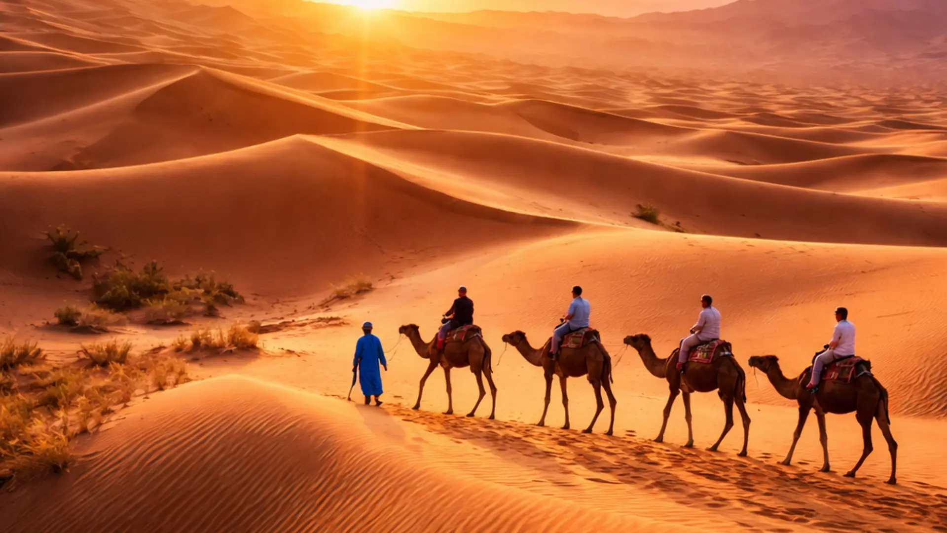 Option 1 — Guided Tour (Recommended for Most Travelers)