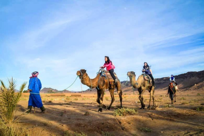 private vs shared tours