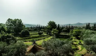 Aromatic herb garden — Ourika Valley