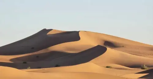 M'Hamid desert dunes at sunset