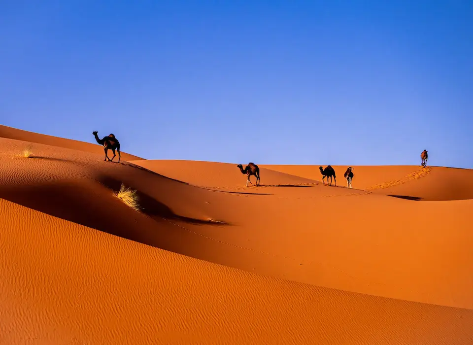 2-Day Desert Tour from Marrakech to Zagora