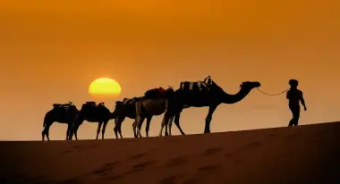 Zagora desert at sunset