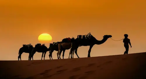 Zagora desert dunes at sunset